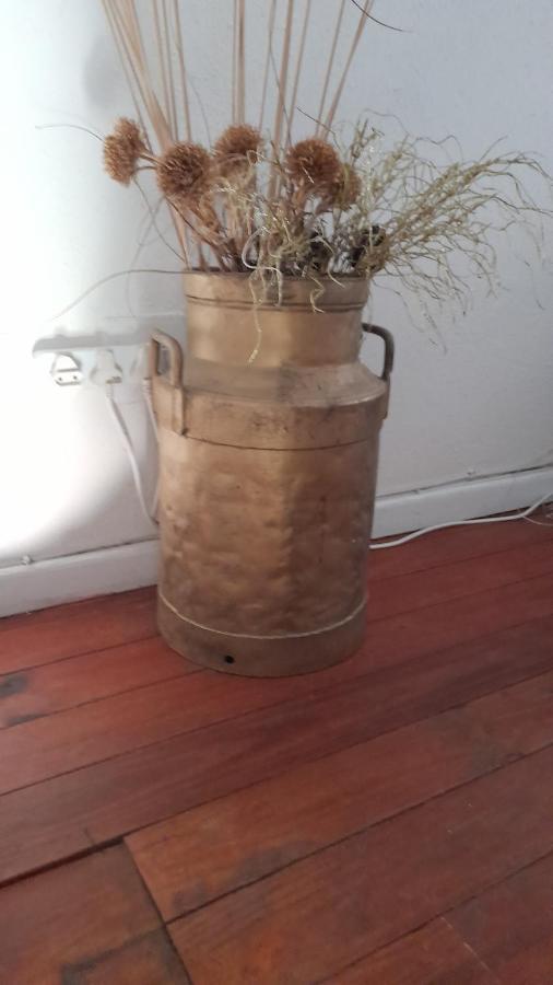 Oak On Blair Apartment Somerset West